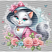 Cartoons and other-CO 520